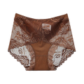 Sexy Lace Panties Women's Underwear   Female Underpants    Comfy  Elegant Briefs Transparent  Light Breathable   Lingerie